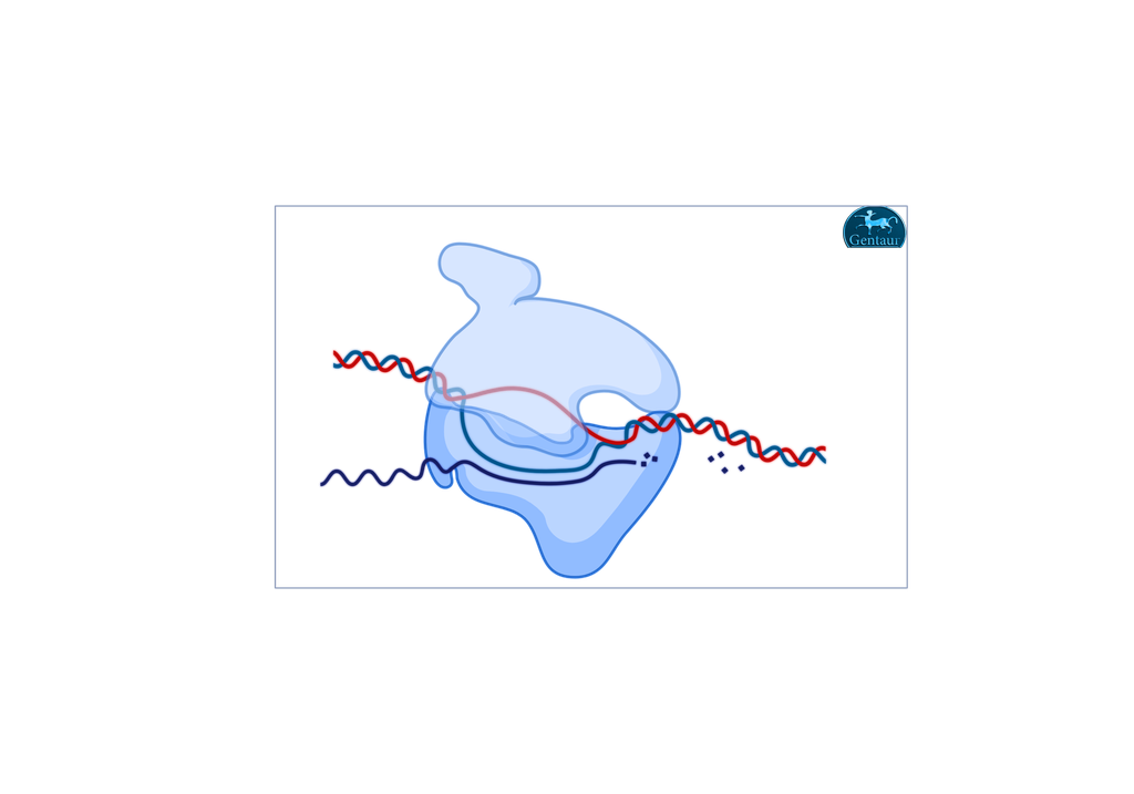 ​Sac I