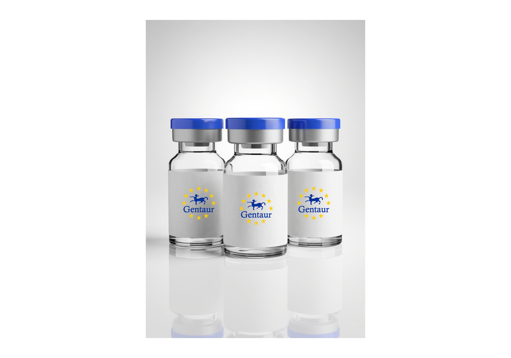 Westmark I for Western Blot