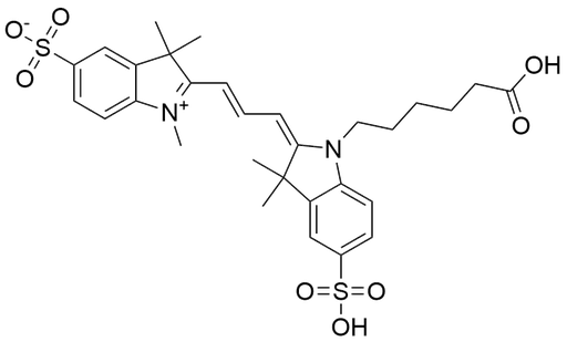 [14521-5] Disulfo-Cy3-carboxylic acid  - 5mg
