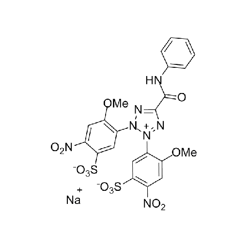 [19661-100] XTT  - 100mg