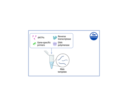 [IPH21506] RT PCR Test Kits  SARS-CoV-2