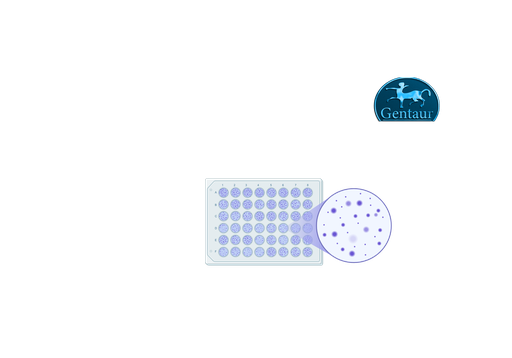 [COV19A.CE] ELISA Kits COVID-19 IgA